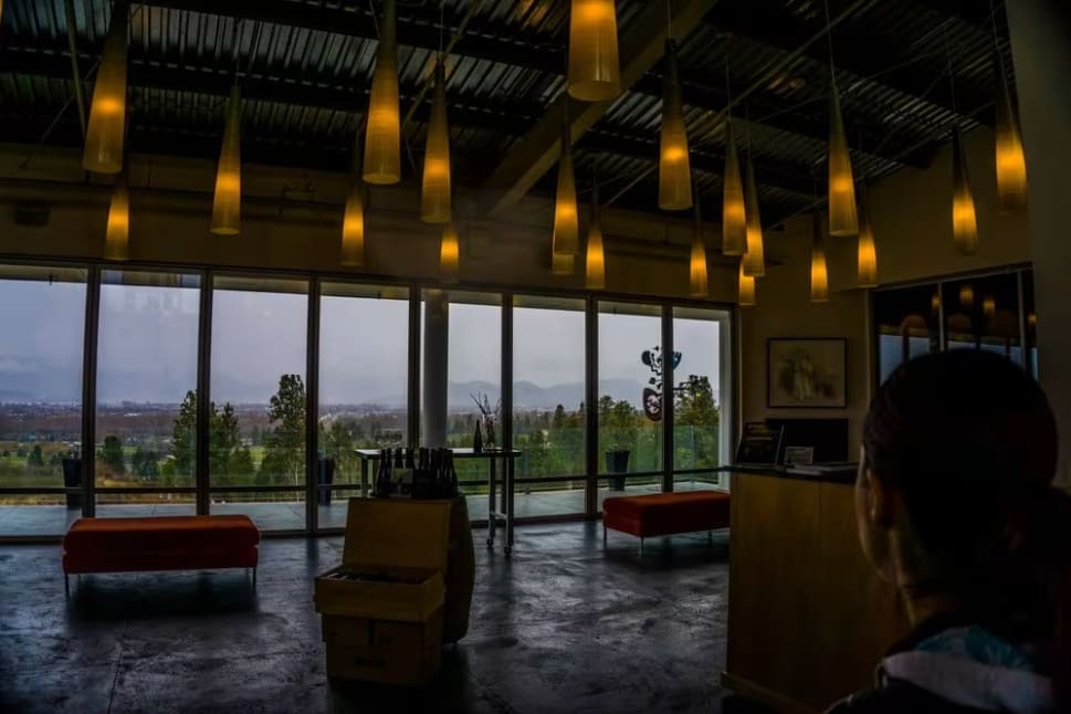 a room with a lot of windows and a lot of lights hanging from the ceiling and a woman looking out the window