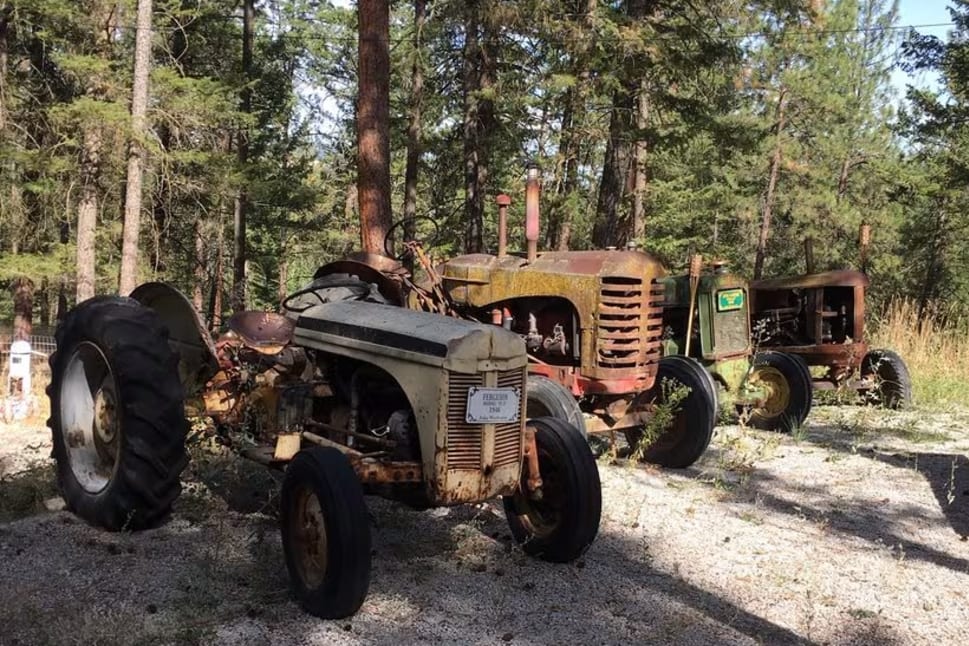 a couple of old tractors parked in the woods next to a forest of pine trees and a man standing next to one of them at Wiseacre Farm Distillery in Kelowna.