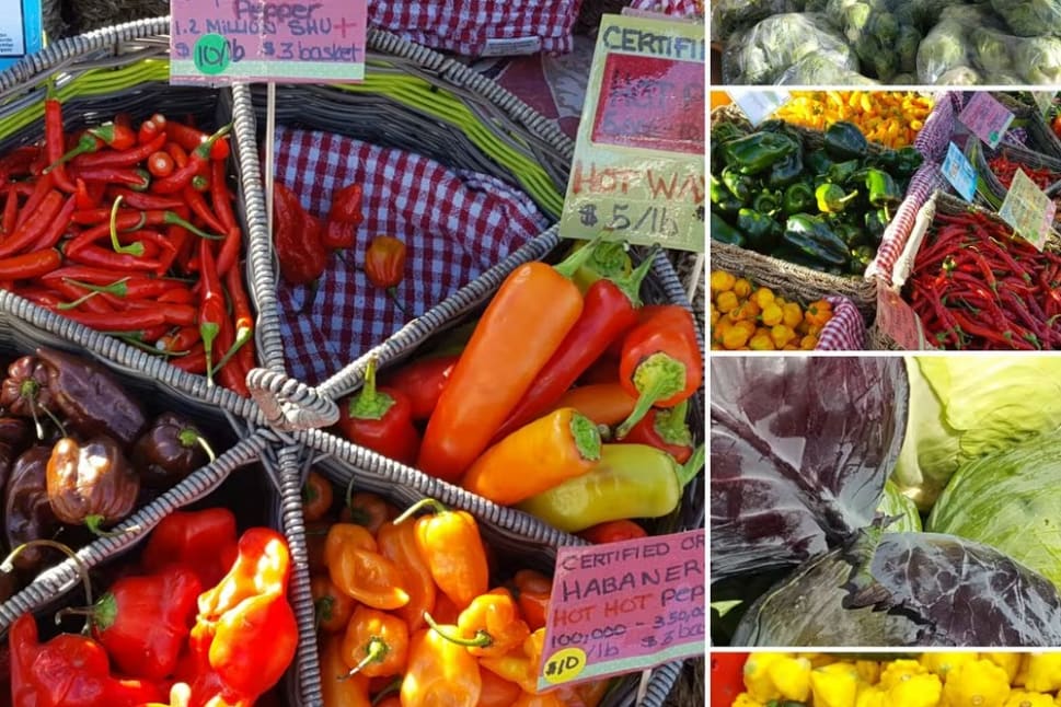 a collage of pictures of different types of fruits and vegetables in baskets and in baskets with price tags on them