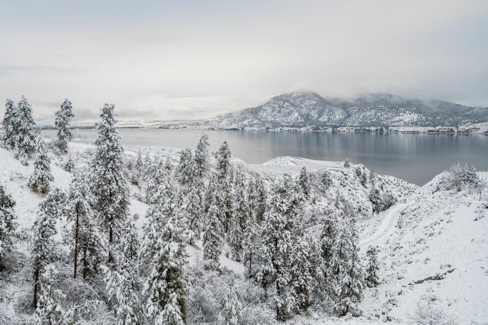 A snow-covered landscape in Okanagan with pine trees, mountains, and a lake.