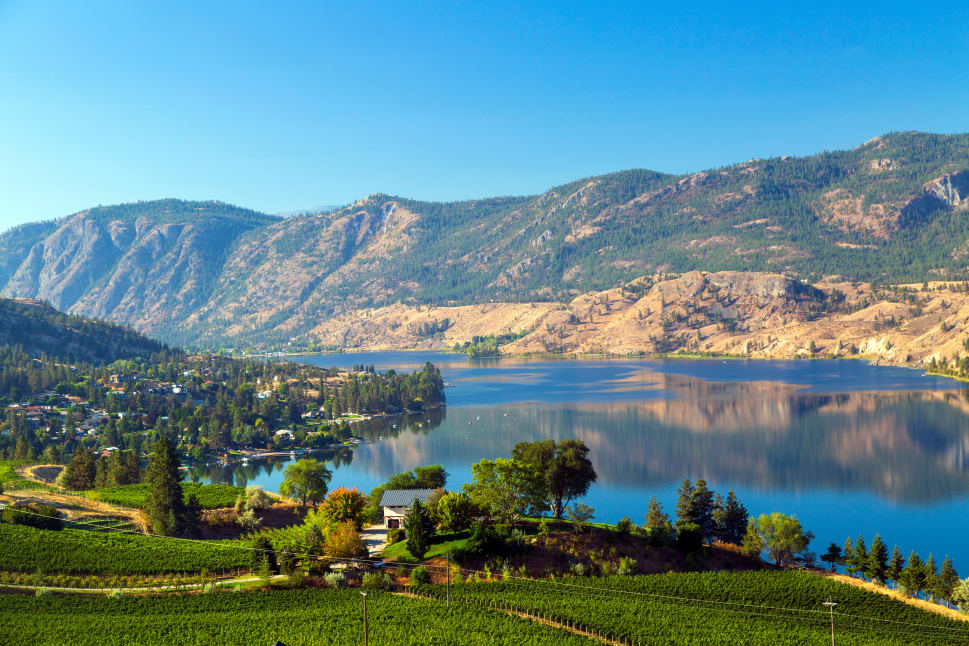 A scenic view of Penticton with lush green vineyards, a serene lake, and mountains in the background under a clear blue sky.