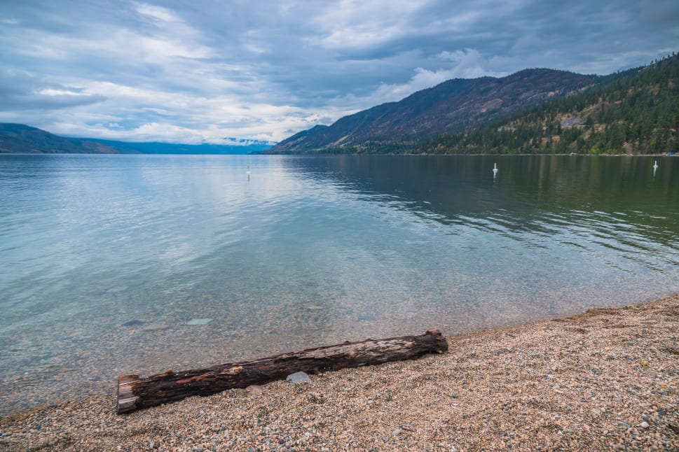 A scenic view of a calm lake in Peachland with a pebble beach and a driftwood log in the foreground, surrounded by mountains under a cloudy sky.