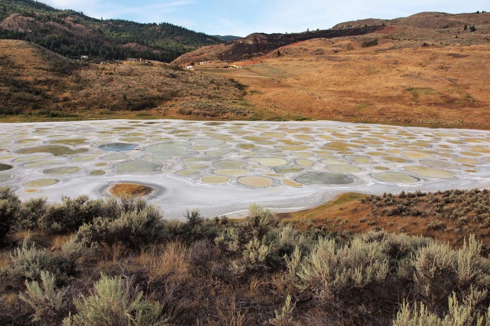 Aerial view of the Spotted Lake in Osoyoos, featuring circular mineral deposits surrounded by arid hills and sagebrush.