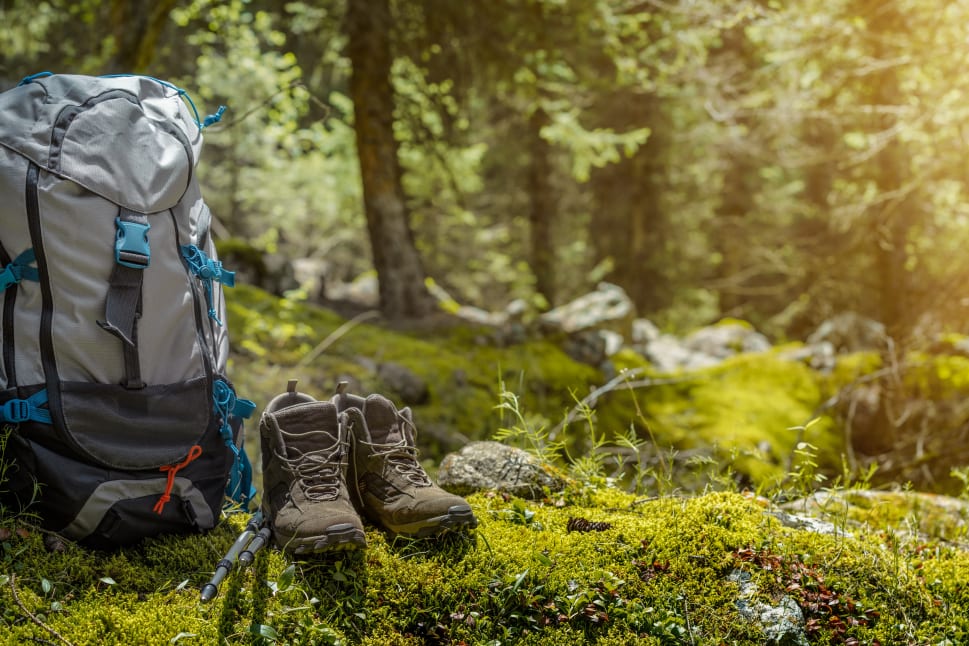 A hiking backpack and a pair of boots with trekking poles are placed on a mossy ground in a lush green forest with sunlight filtering through the trees.