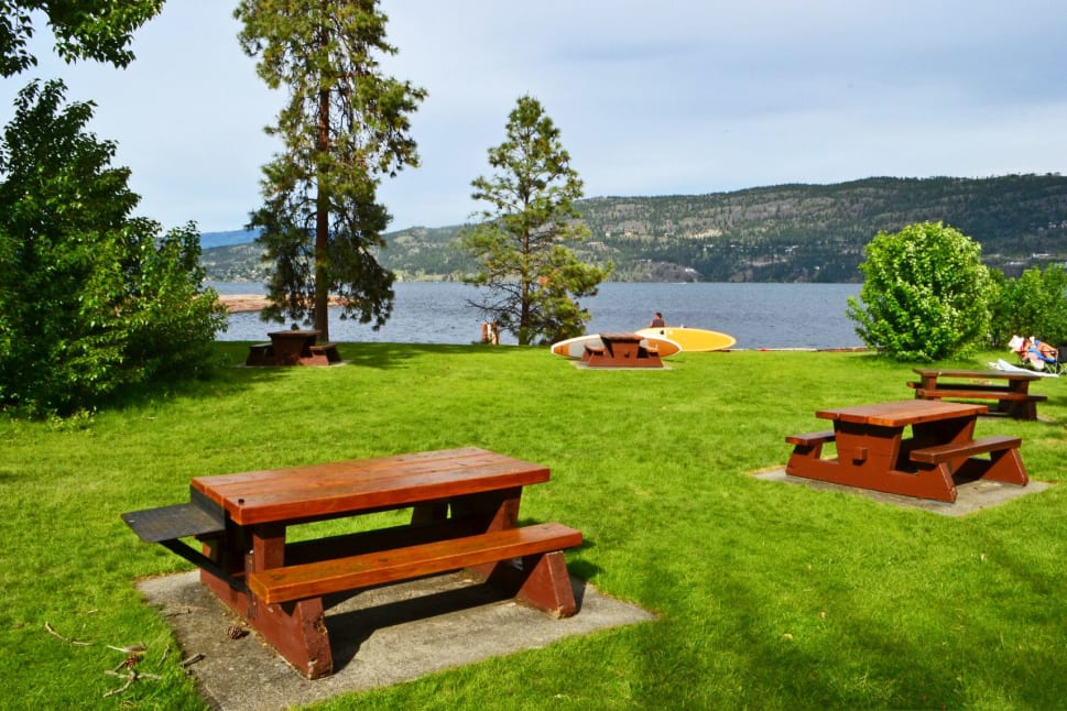 Bear Creek Park in Kelowna featuring picnic tables on a grassy area, tall trees, a lake in the background, and mountains on the horizon.