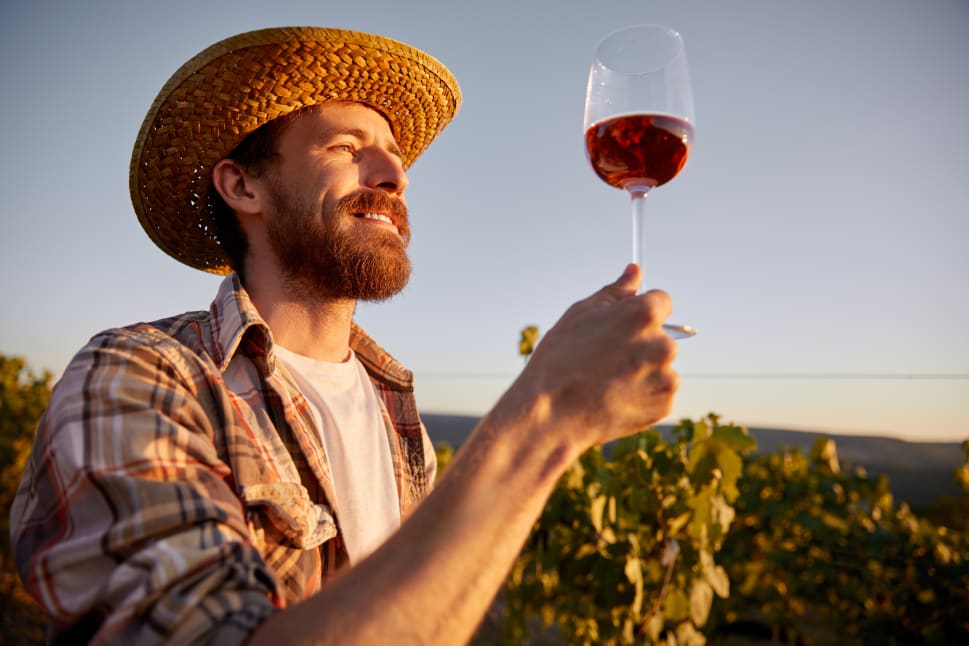 A man in a straw hat and plaid shirt, standing in a vineyard, smiling and holding up a glass of red wine to the sunlight.