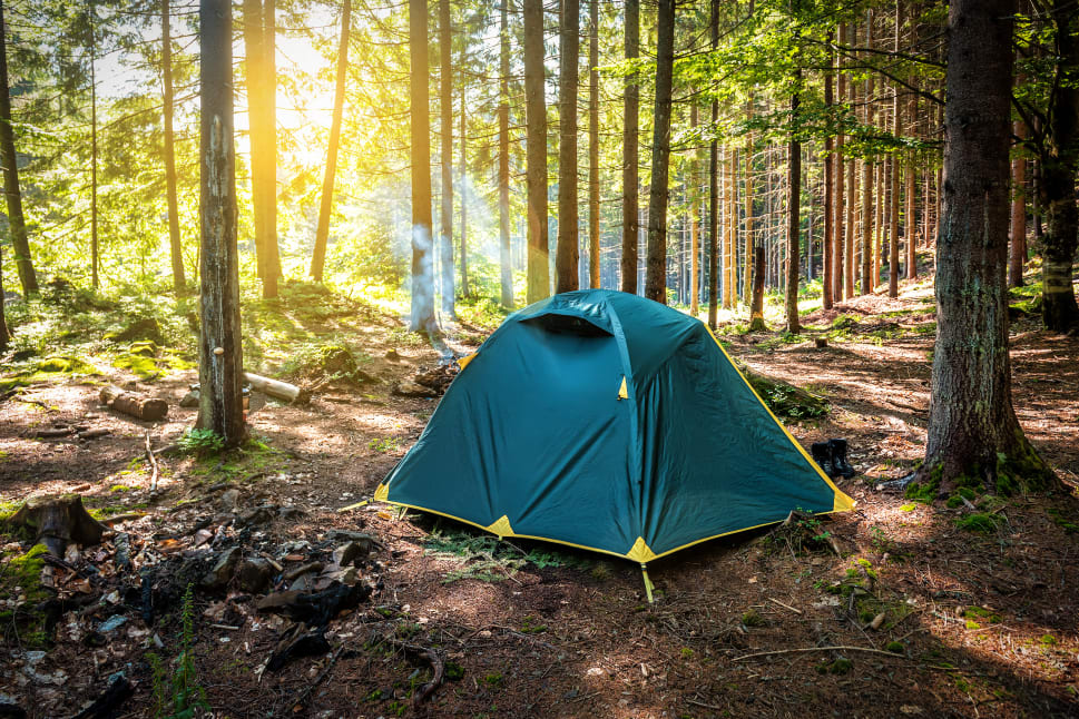 A green tent is pitched in a sunlit forest clearing with tall trees and a campfire nearby, with a misty forest ambiance.