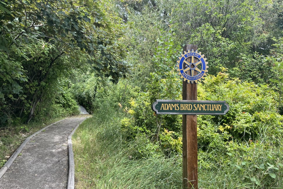 A lush green path leads into Adam's Bird Sanctuary, marked by a wooden sign with a Rotary International emblem in Summerland.