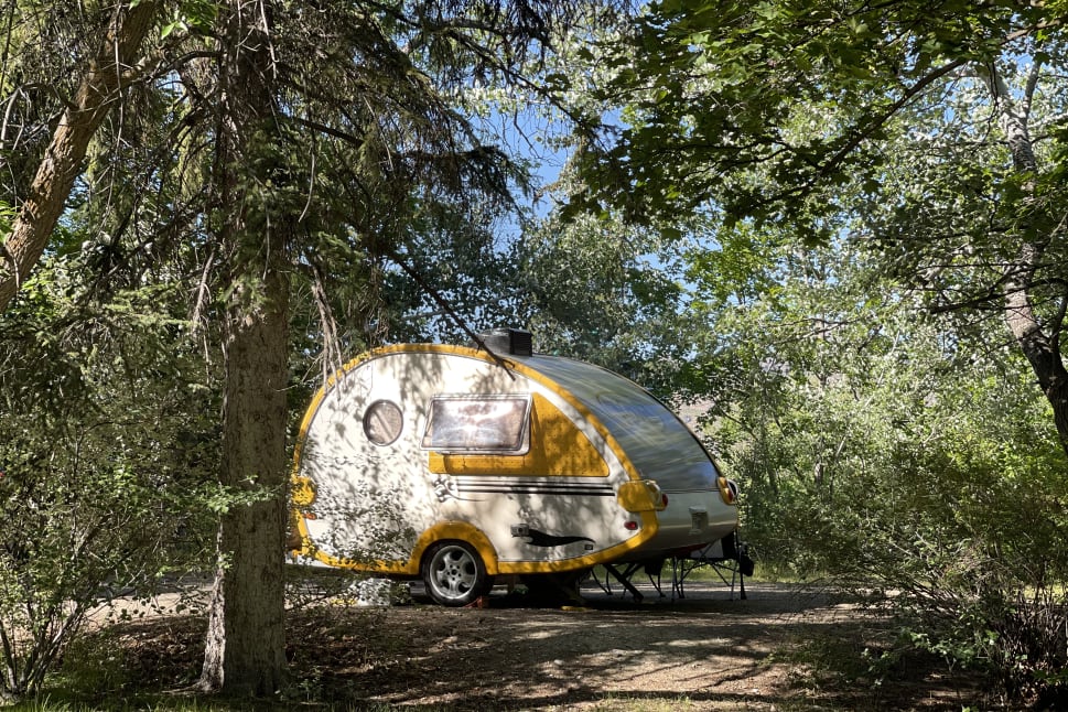 A small, yellow and white camper trailer is parked among tall trees and lush greenery in Peachland.