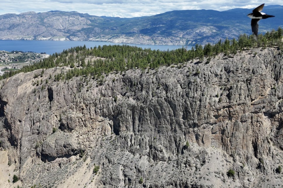 A bird glides over a rocky mountain landscape with a forested peak and a distant lake under a partly cloudy sky in Summerland.
