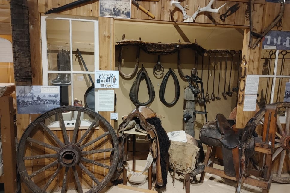 A display of vintage farming and horse equipment in Penticton, including saddles, harnesses, wagon wheels, and antlers on a wooden wall.