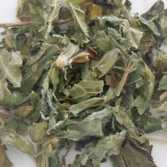 Lemon Balm