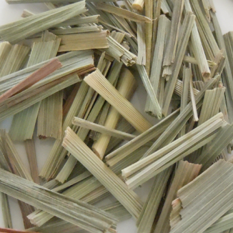Lemongrass
