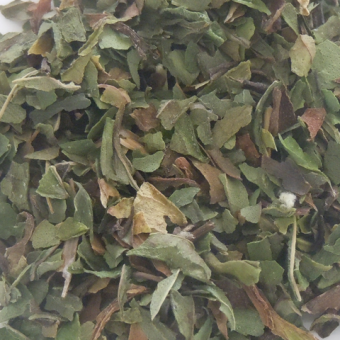 Peppermint