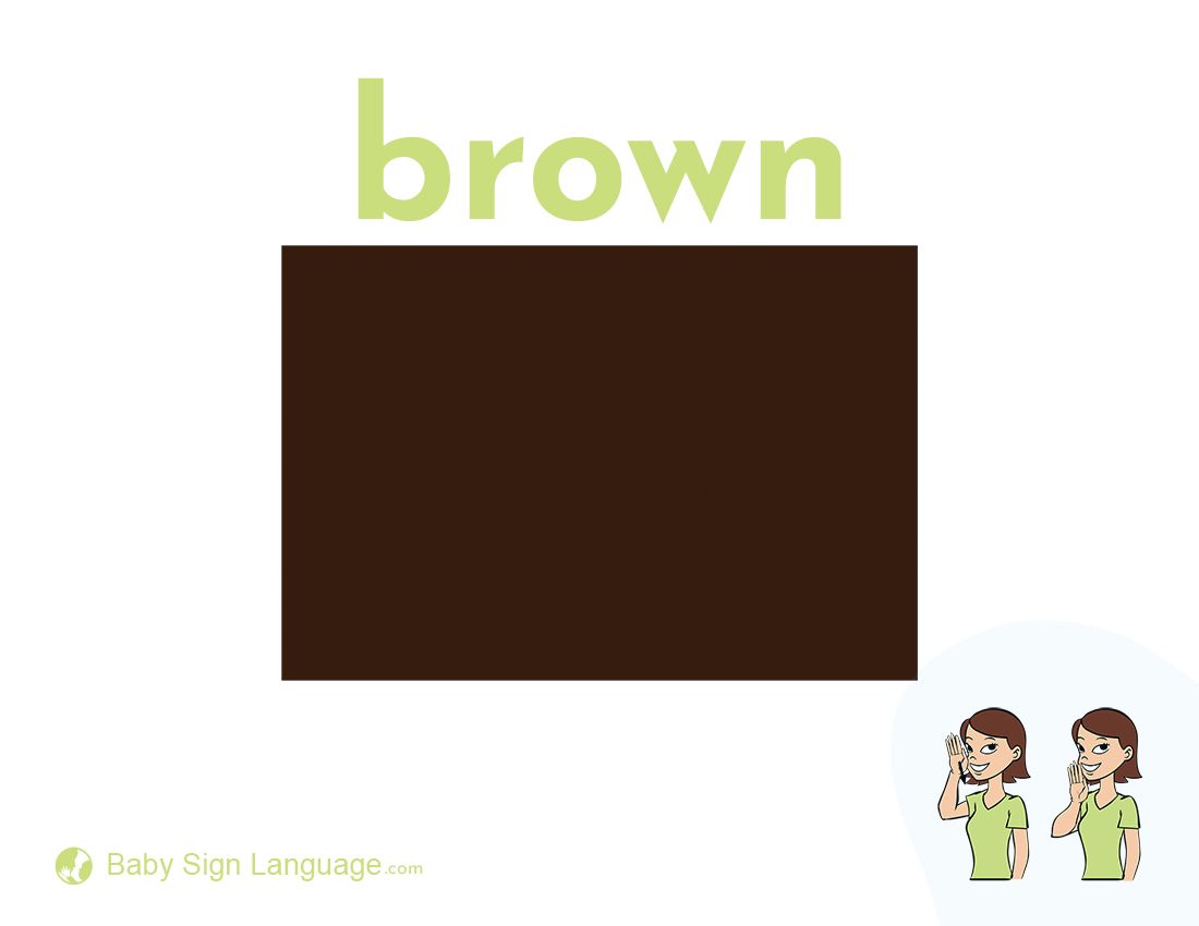 https://res.cloudinary.com/spiralyze/image/upload/f_auto,w_auto/BabySignLanguage/DictionaryPages/brown-flash-card-jpg.jpeg