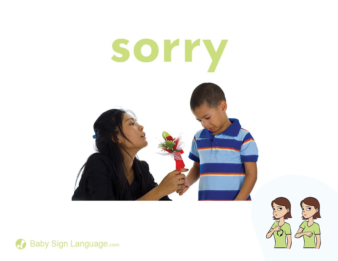 Baby Sign Sorry Attention Early Intervention Professionals Unlock The Baby Sign Sorry Attention Early Intervention Professionals Unlock The