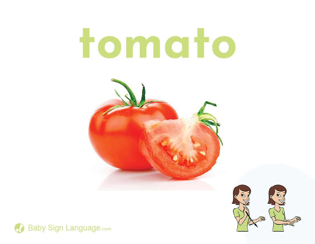 tomato timer free download