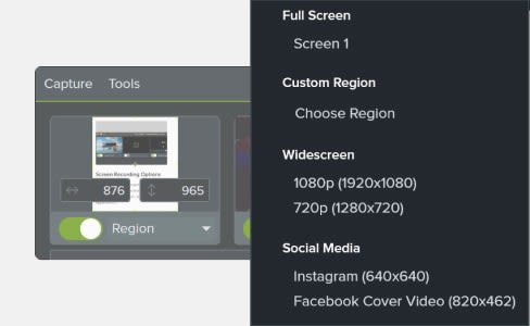 Screen Recording Options