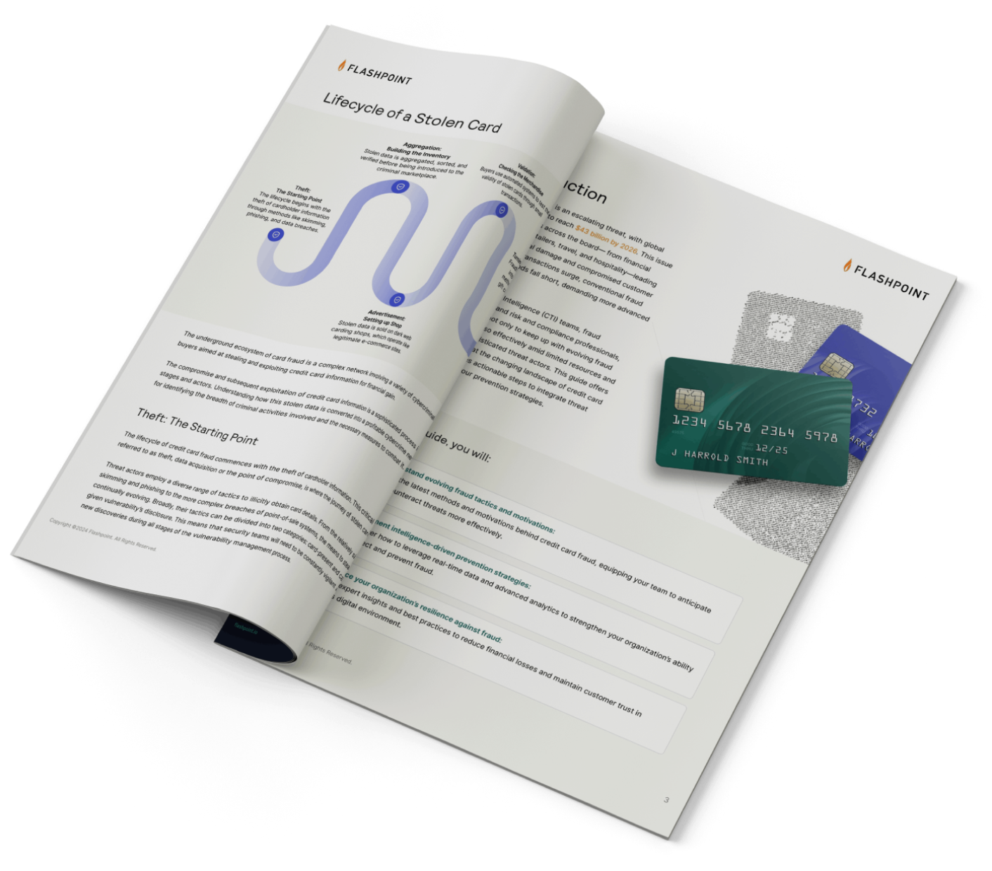 The Complete Guide to Credit Card Fraud and Prevention