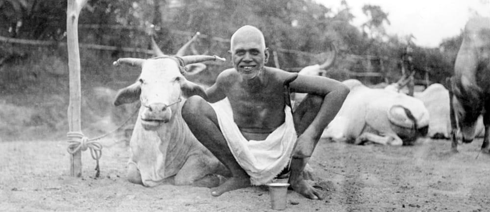Ramana Maharshi with a cow at Sri Ramanasramam