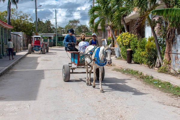 Gibara Cuba Horse Carriage