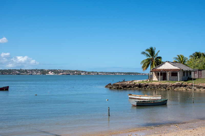 Gibara Cuba Beach with Palms