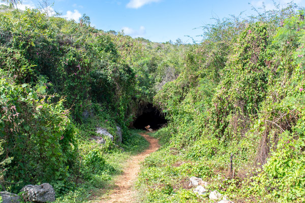 Gibara Cuba cave entrance near gibara