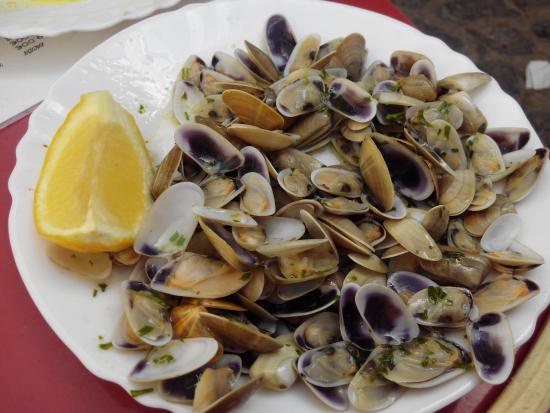 Gibara Cuba mussels