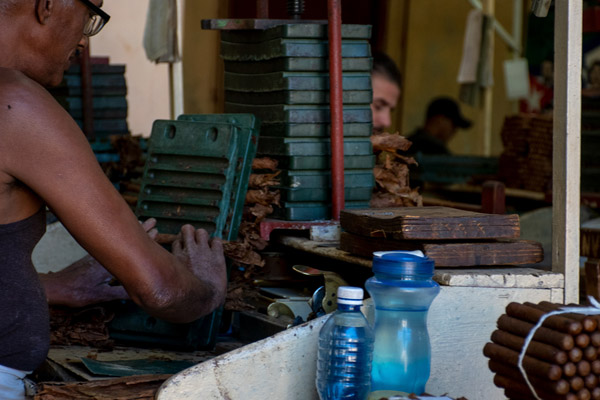 Gibara Cuba cigar production