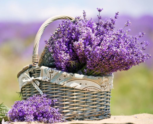 خواص اسطوخودوس برای پوست و مو
