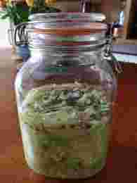 Large kilner jar half-full of compact shredded cabbage.