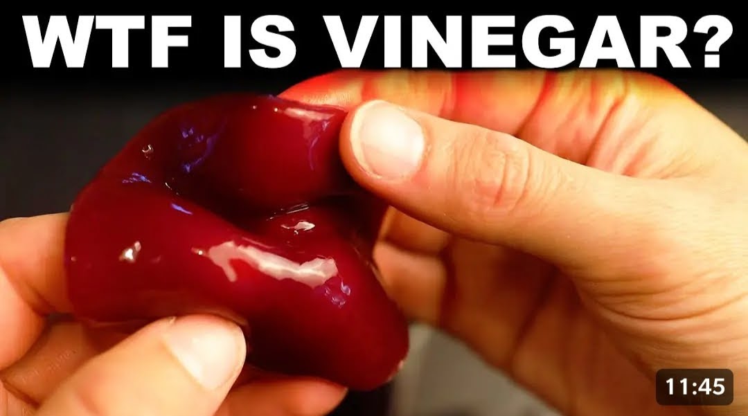 WTF IS VINEGAR? Close-up of hands manipulating a red blob of something a timestamp of 11:45 appears on the bottom-right