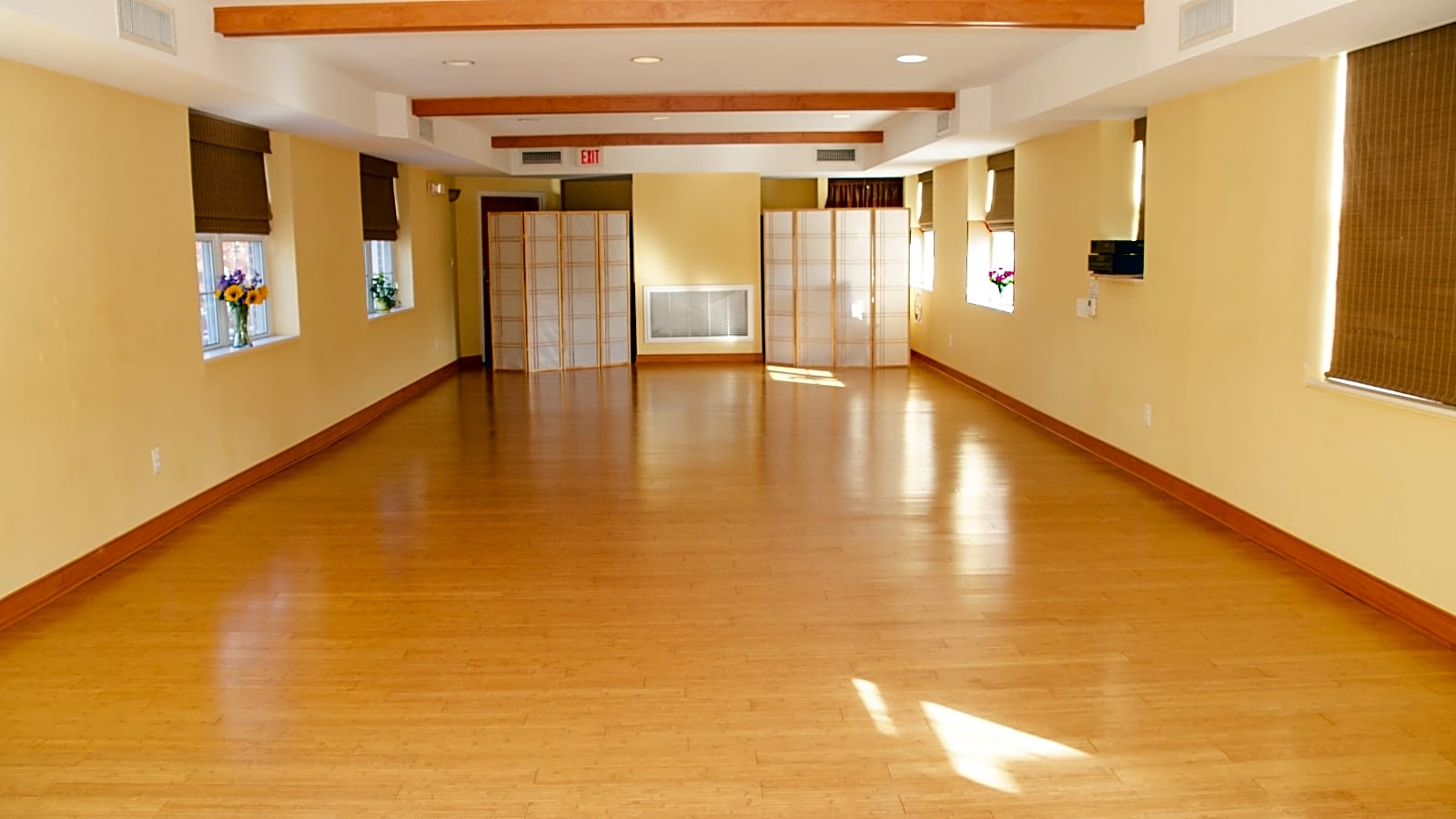 Airy Open Space Yoga Studio in Del Ray, 