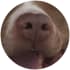 Rdozrwwmg8snxd9q0eqa