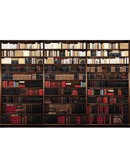 Papier Peint déco poster BIBLIOTHEQUE 3 x 2,70 m | Déco et photo murale XXL Qualité HD Scenolia