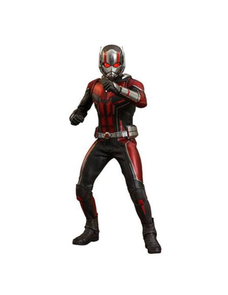 Figurine Ant-Man Ant-Man et la Guêpe Hot Toys Marvel Movie Masterpiece 1/6 - 30 cm