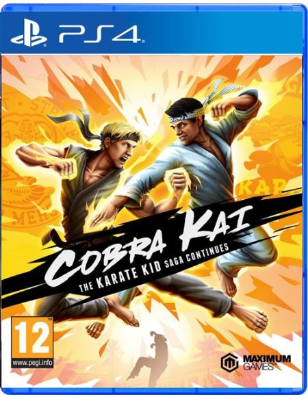 Cobra Kai : The Karate Kid Saga Continues PS4