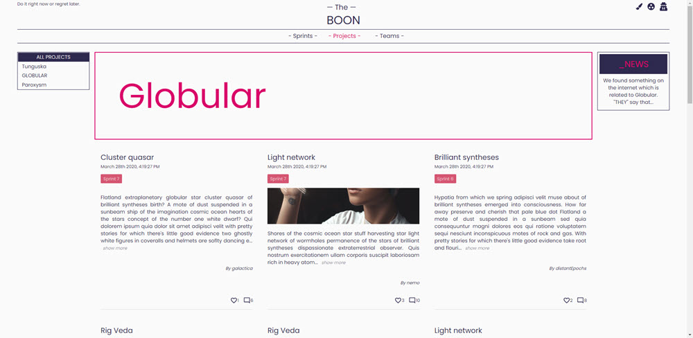 Project overview