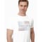 Venice Beach Hayes Herren T-Shirt