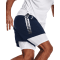 Under Armour UA Woven Graphic Herren Shorts