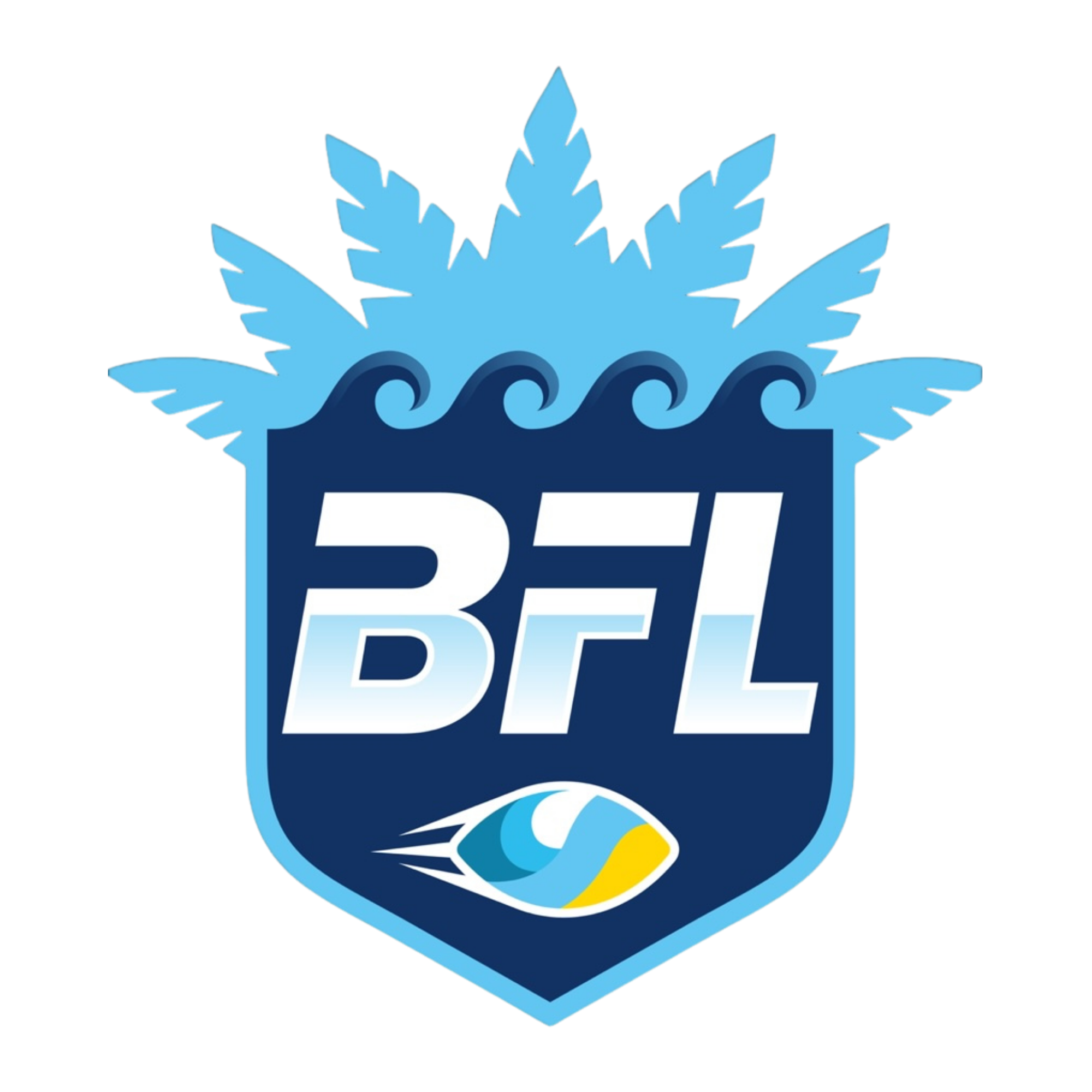 Beach Football League