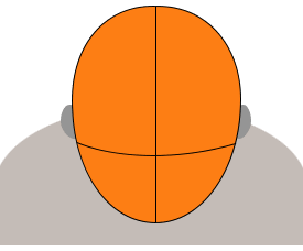 How to Measure Head Size for Motorcycle Helmet | A Definitive Guide | Sporty Journal 3 intermediate oval head shape helmet size