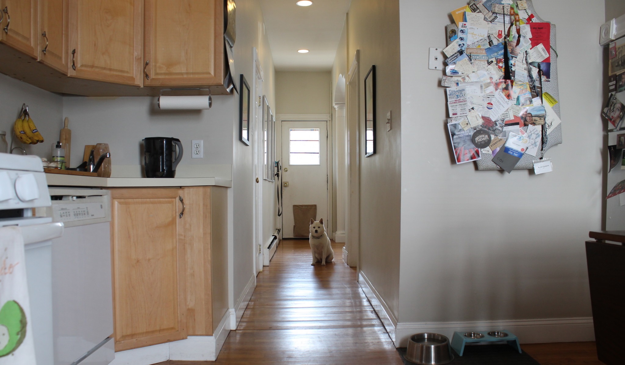 24 Portsmouth St, Wellington-Harrington