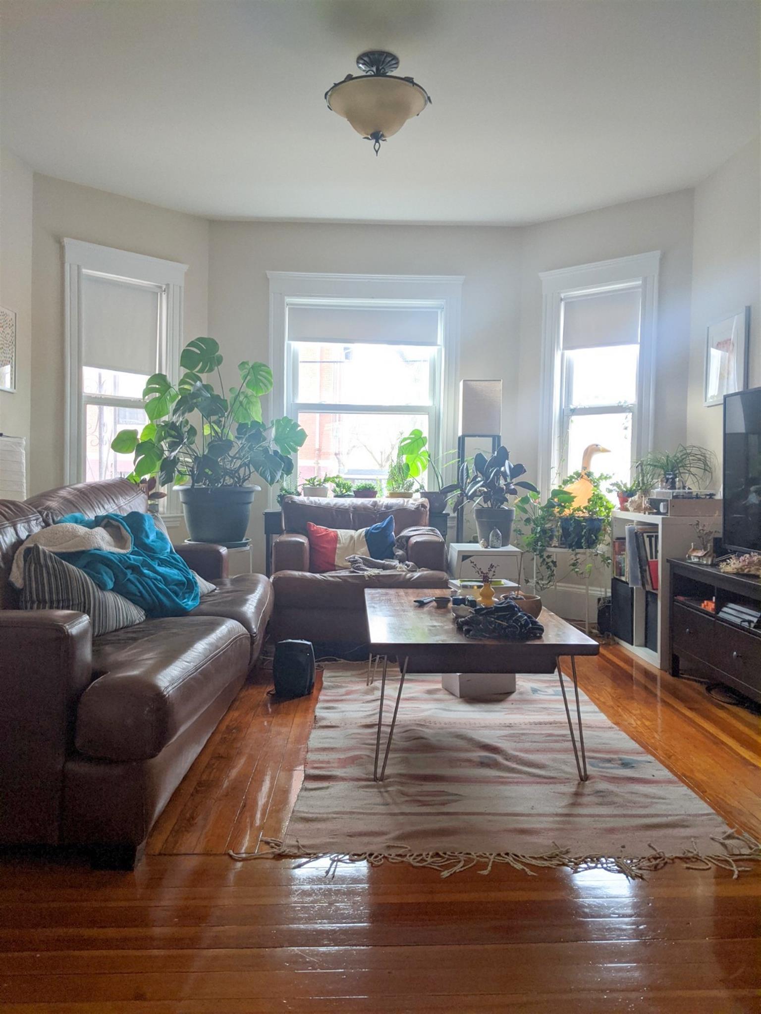 57 Josephine Ave, Powder House Square