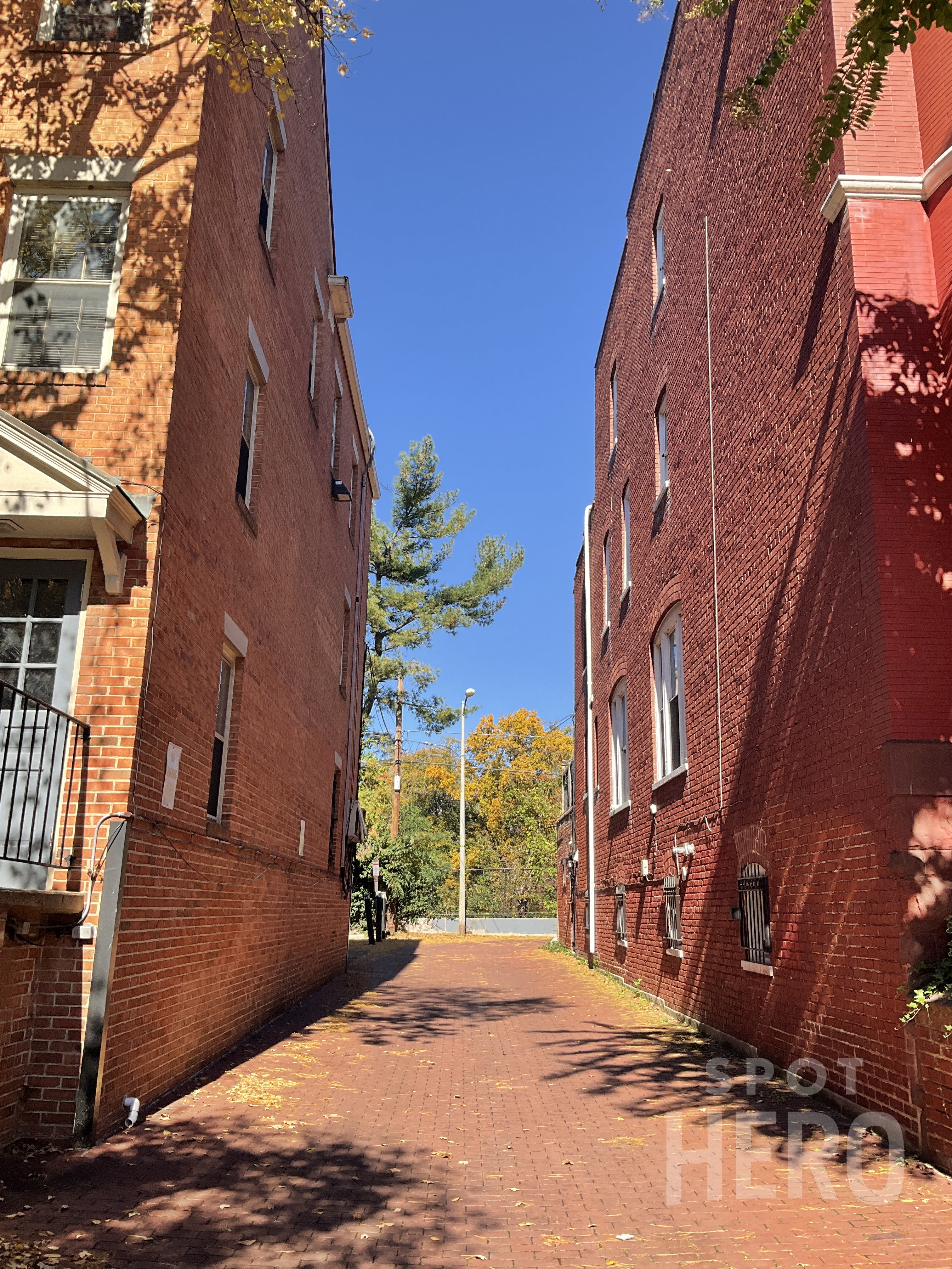Photo of 1945 Calvert St NW - Spot #4