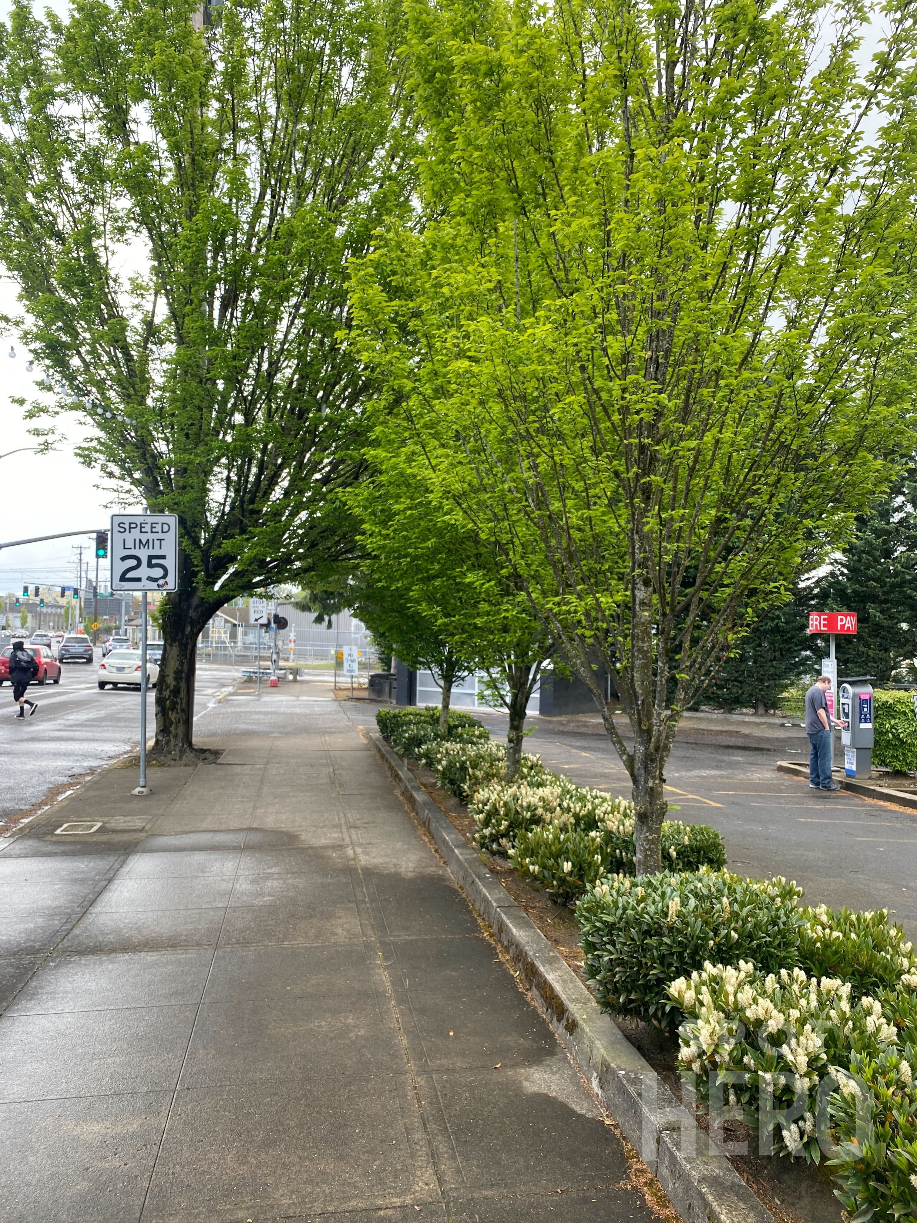Photo of 2505 SE 11th Ave. -  Lot 369