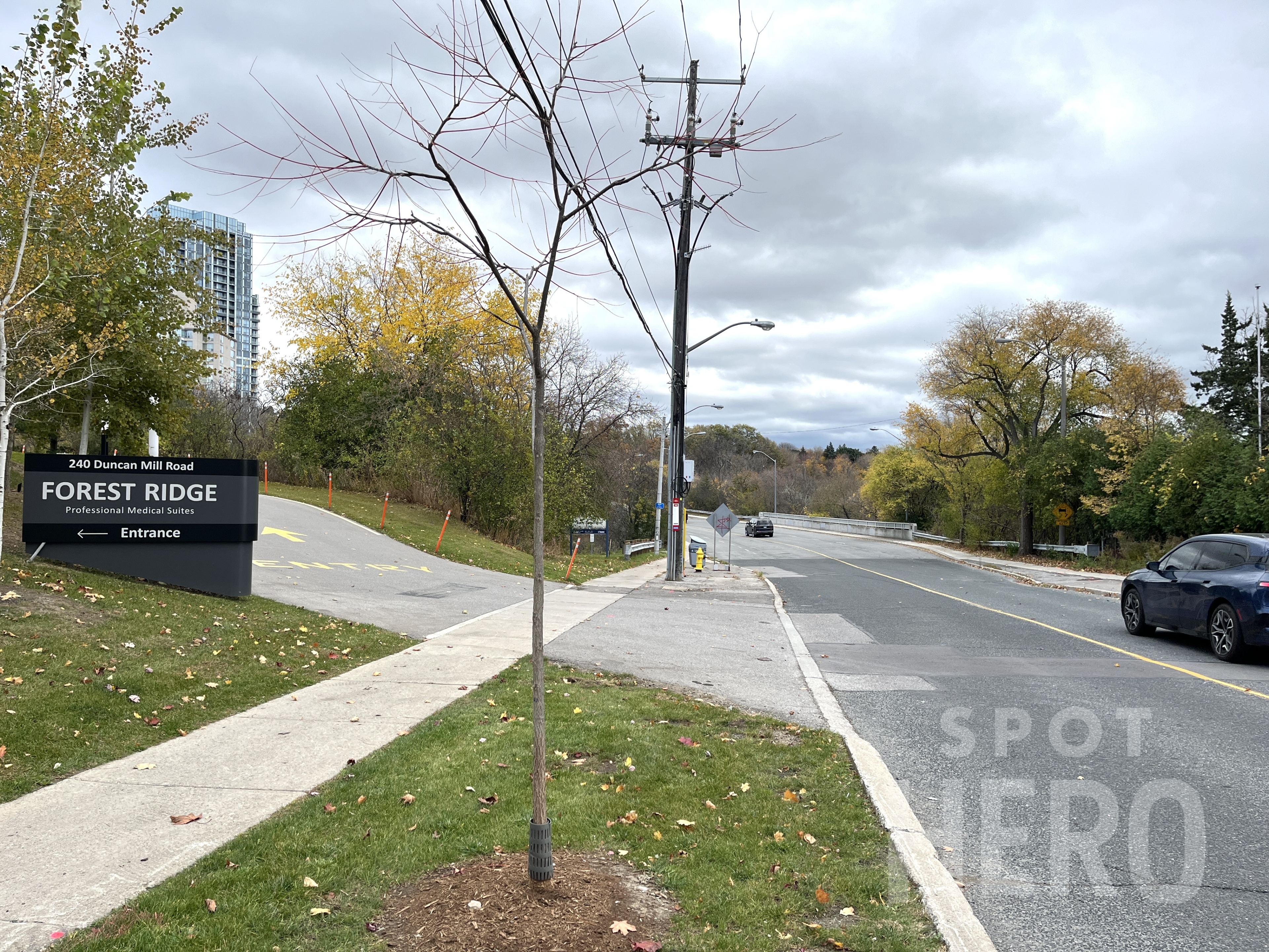 Photo of 240 Duncan Mill Rd.