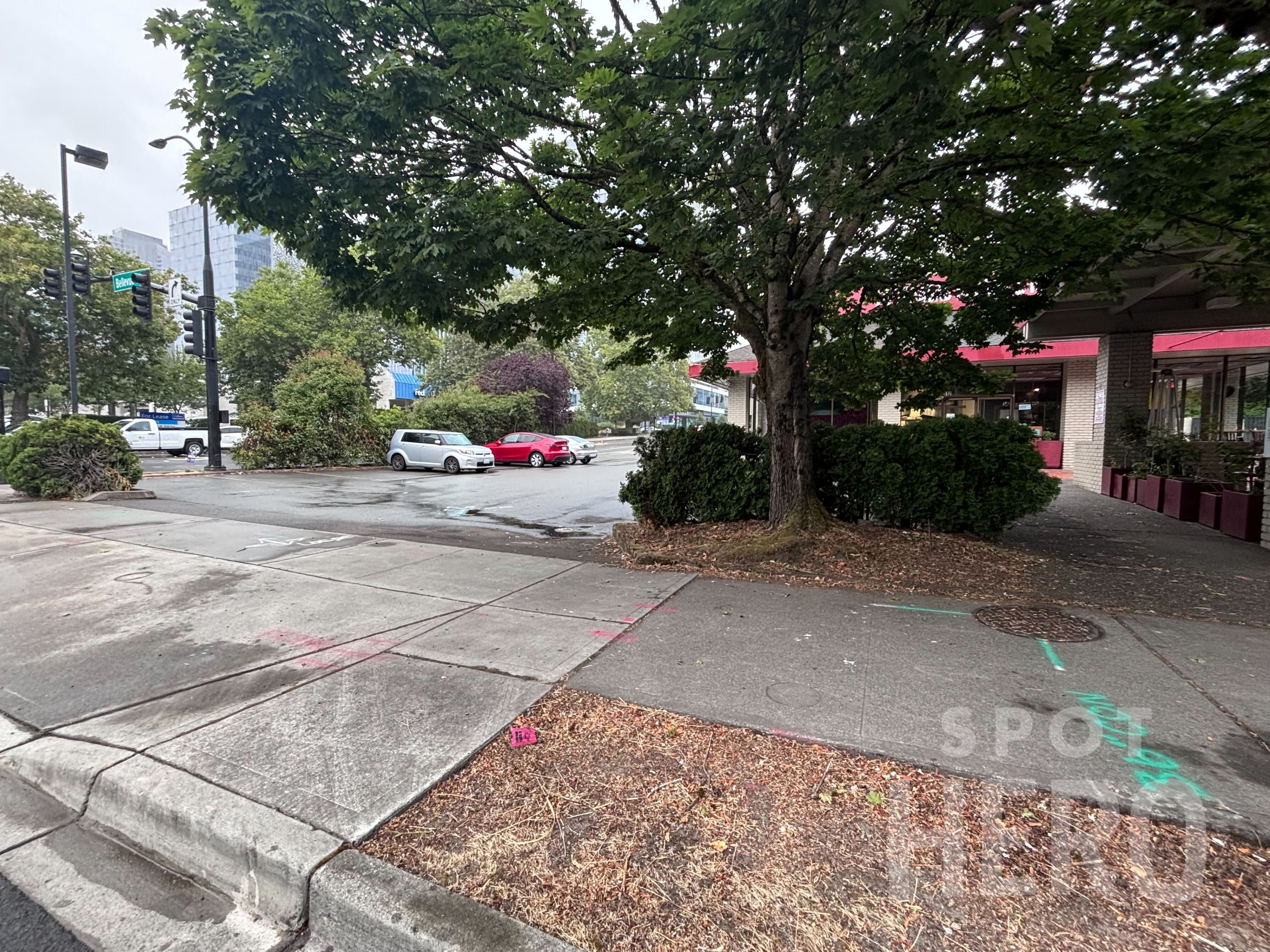 Photo of 12 Bellevue Way SE - (WB129)