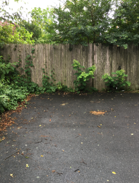 Photo of 803 Silver Spring Ave. - Personal Spot