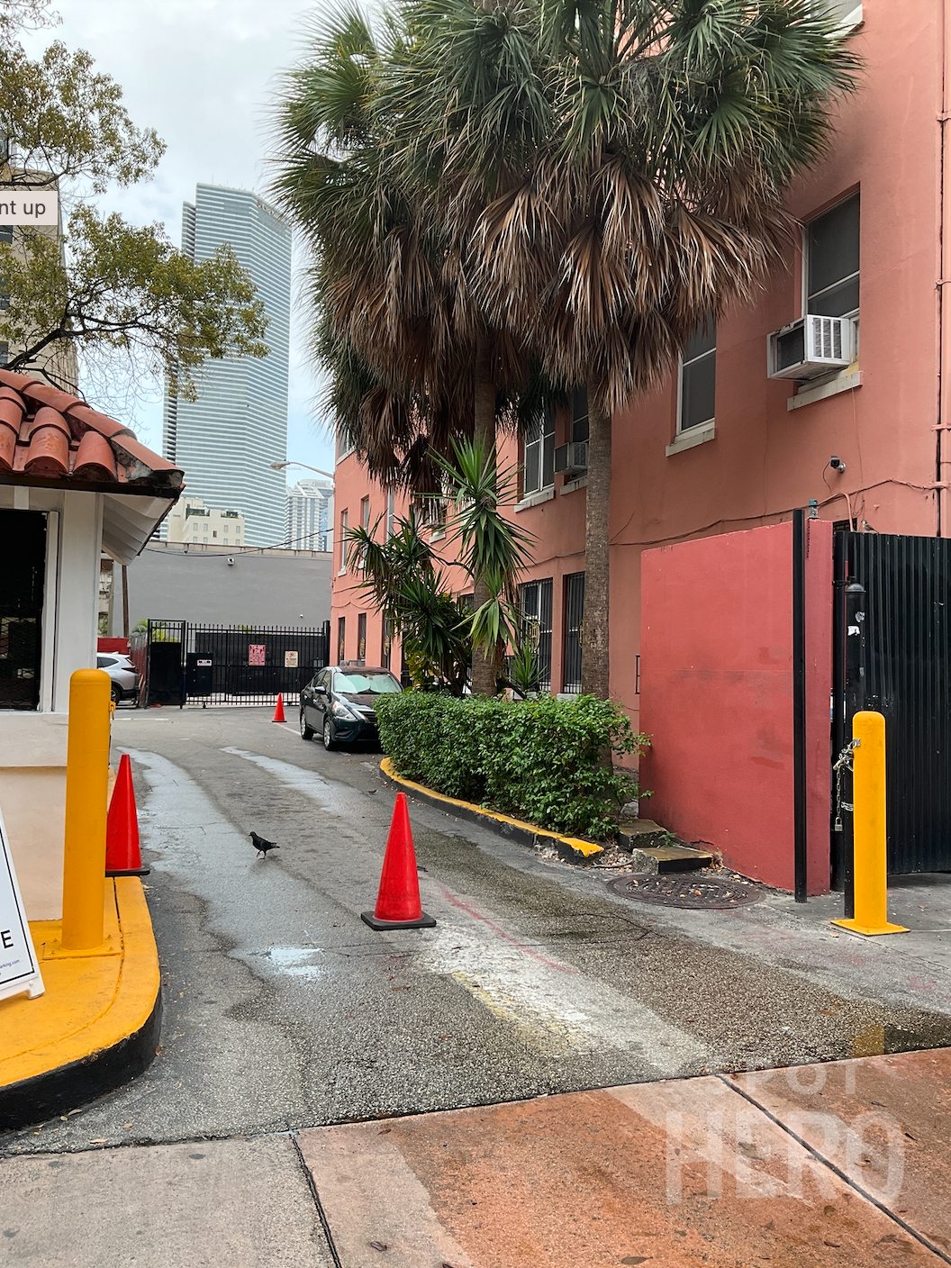 Ziff Ballet Opera House Parking | SpotHero